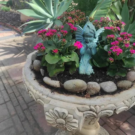 El Jardin De Hadas Country house Turre